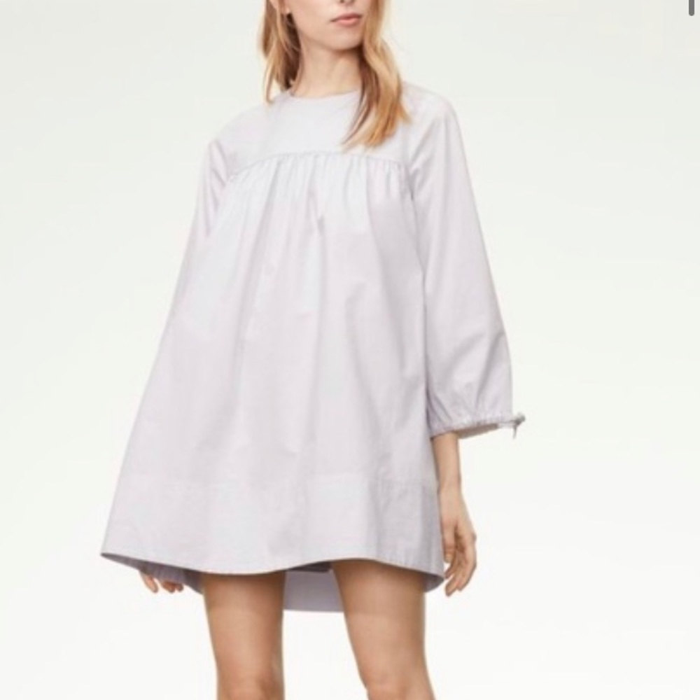 Aritzia Wilfred Lessines Smock Dress